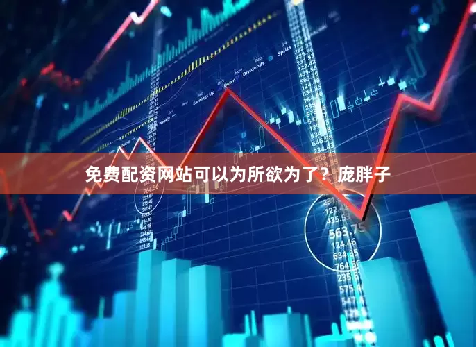 免费配资网站可以为所欲为了？庞胖子
