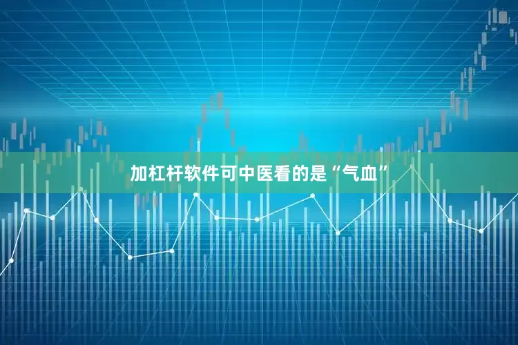 加杠杆软件可中医看的是“气血”