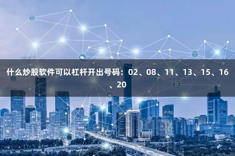 什么炒股软件可以杠杆开出号码：02、08、11、13、15、16、20