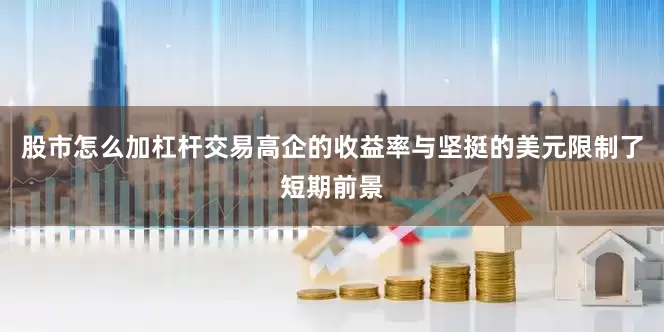 股市怎么加杠杆交易高企的收益率与坚挺的美元限制了短期前景