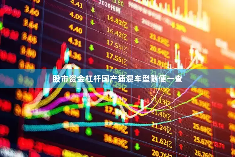 股市资金杠杆国产插混车型随便一查